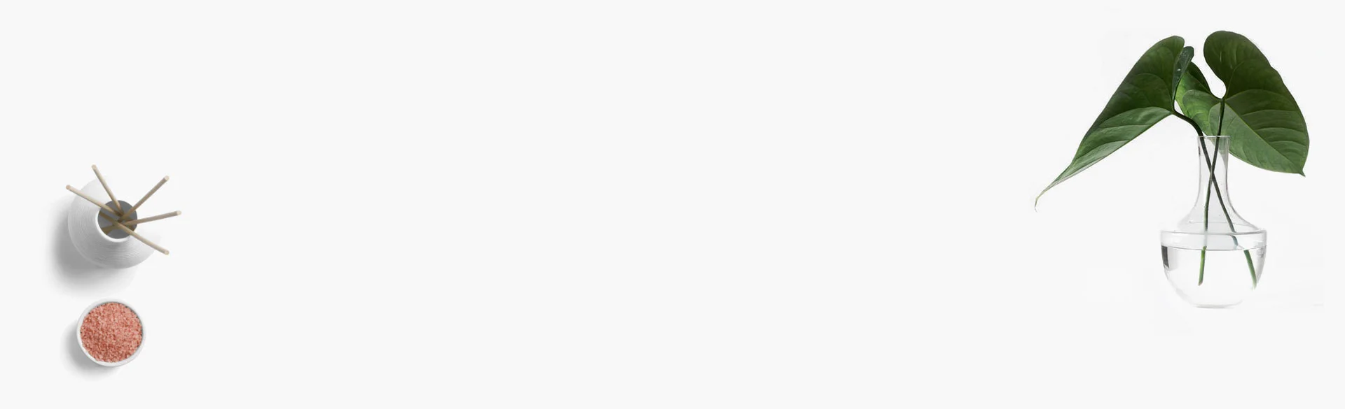 banner7