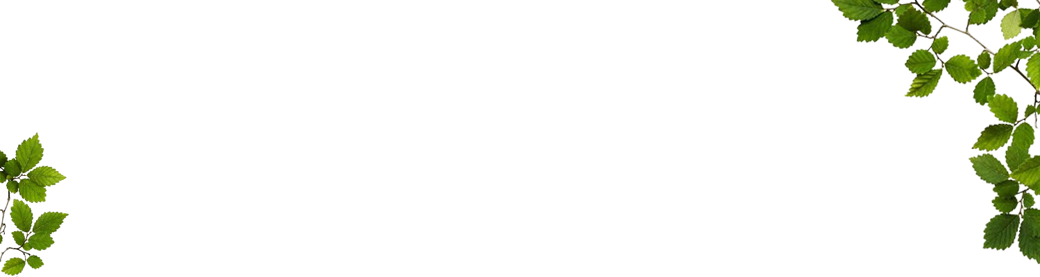 leaf-bg