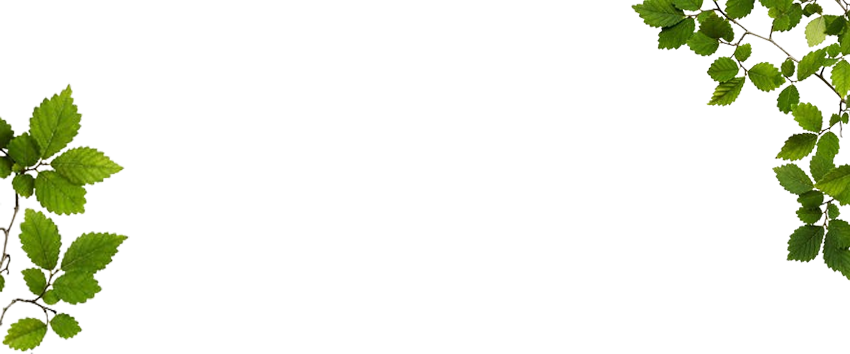 leaf-bg2
